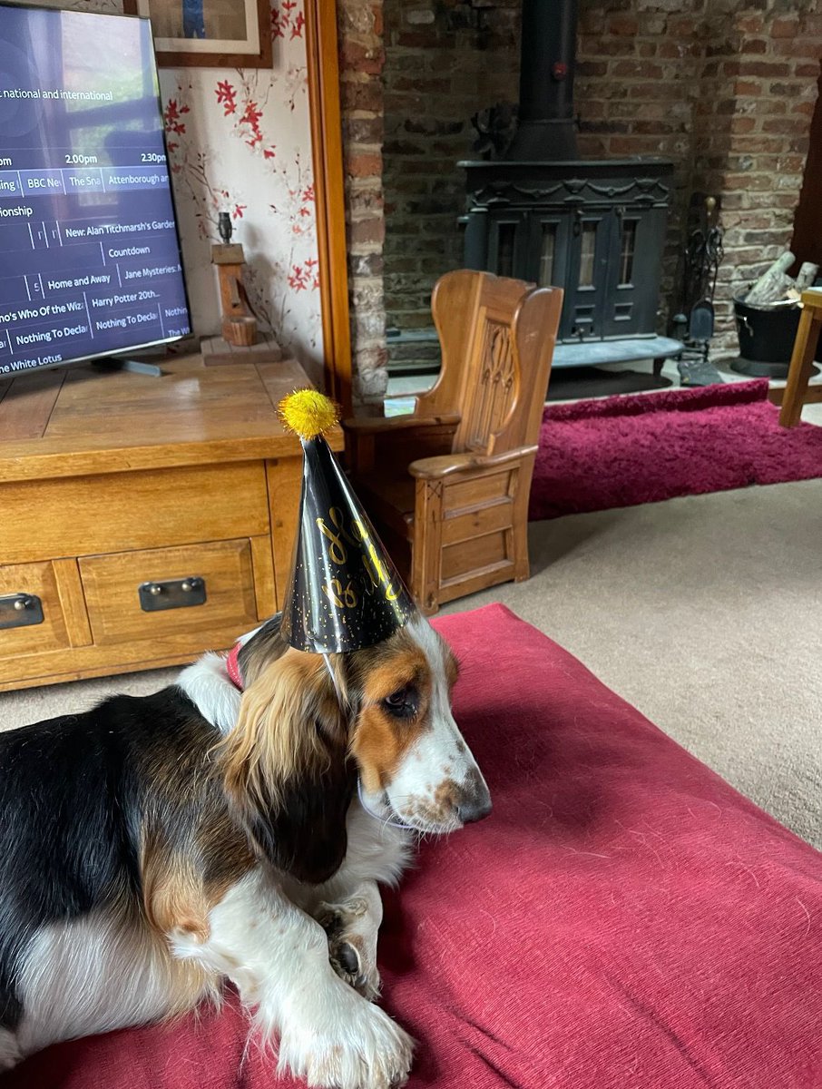 Graeme Hall tweet media