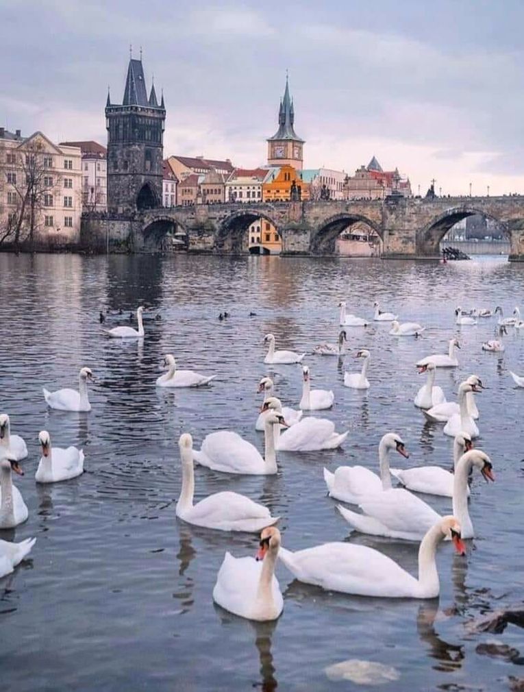 Prague