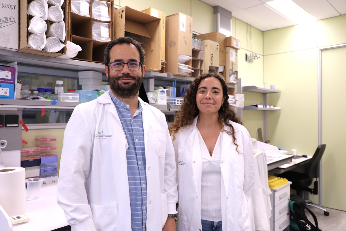 CarrerasIJC's tweet photo. 🚨New research by @JoseL_Sardina and @GemmaValcarcelX published at @ScienceAdvances uses a CRISPR technology to control immune cell response to inflammation in the lab.
They do so by controlling the methylation state of the IL1RN gene, which plays a key role in regulating inflammation.
🔗 https://t.co/KRdhJX5TfU