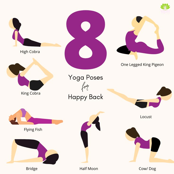 FitSculptor's tweet image. 8 Yoga Poses For A Happy Back🧘🏻‍♀️💫