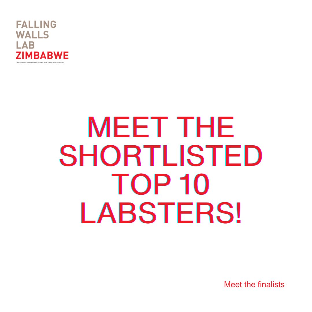 🌟 Meet the Top 10 Labsters of #FallingWallsLabZW!
These brilliant minds are breaking walls with bold ideas – and they’re just getting started. 💥
🎤 Final pitch event coming soon!
#YoungInnovators #ScienceForImpact #ZimbabweRising