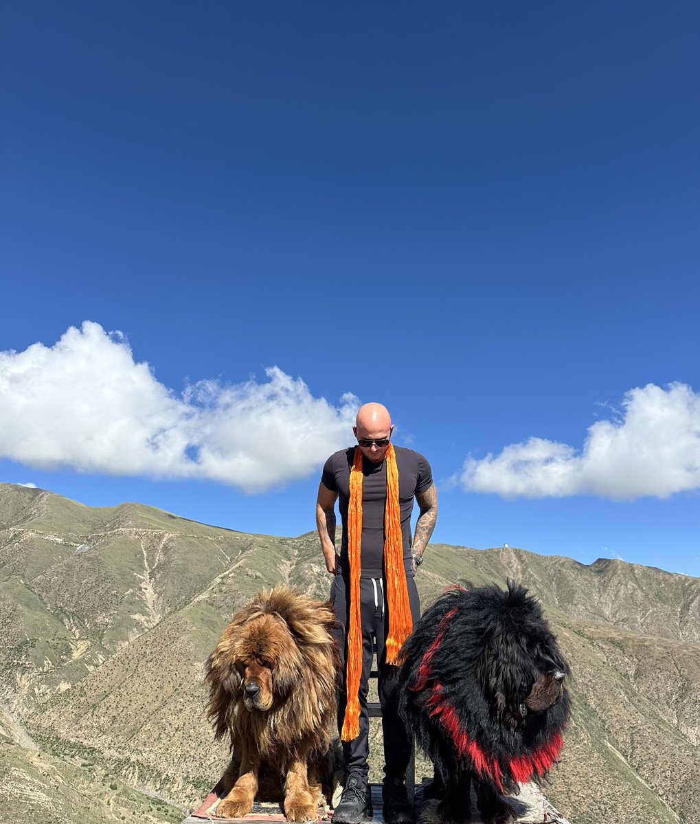 Cryptoking's tweet image. Meet my 2 homies Solana n Eth
What 3rd coin u adding if $20k hit ur wallet?