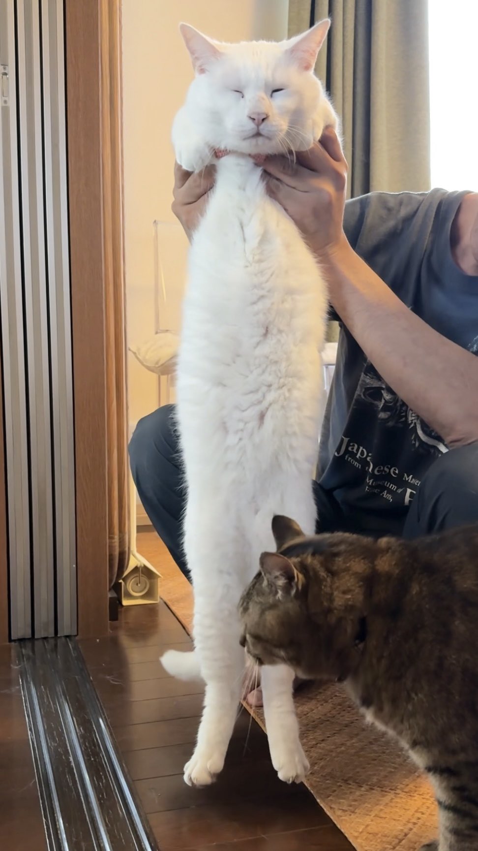 ねこねこページ ◇即日発送◇Sitting Cat 白猫 黒猫 ネックレス【MIP1177】
