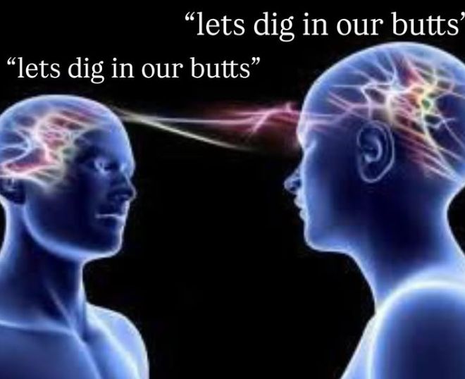 🕐HOURLY🕑 shitpost tweet media