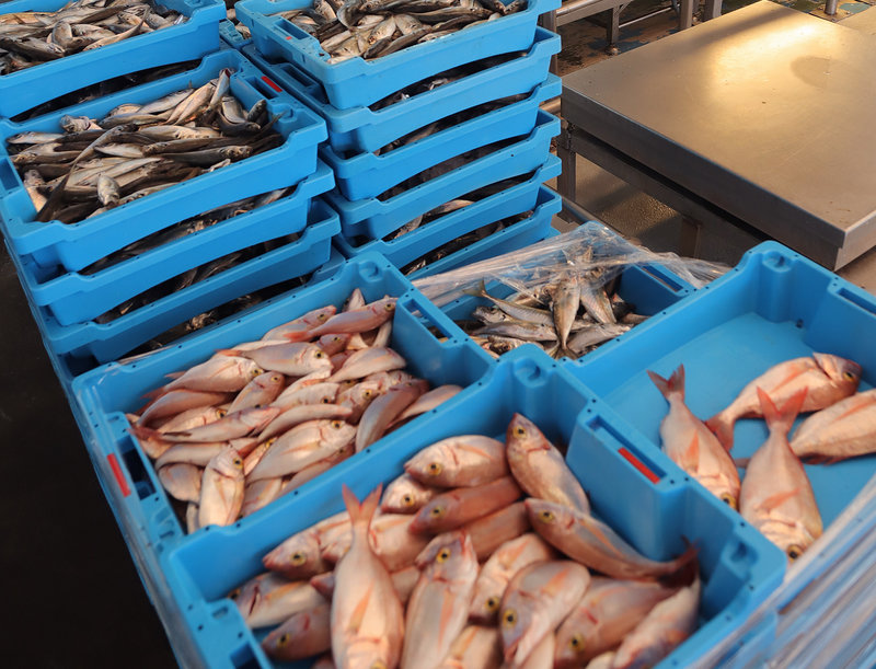 El GALP Costa Daurada aprova 16 projectes per impulsar l’economia blava el 2025 #Torredembarra

➡ S’han destinat 361.000 euros a projectes d’àmbit públic i privat.

Llegiu la notícia al web 🗞 torredembarra.cat/lajuntament/co…

📷 Galp Costa Daurada