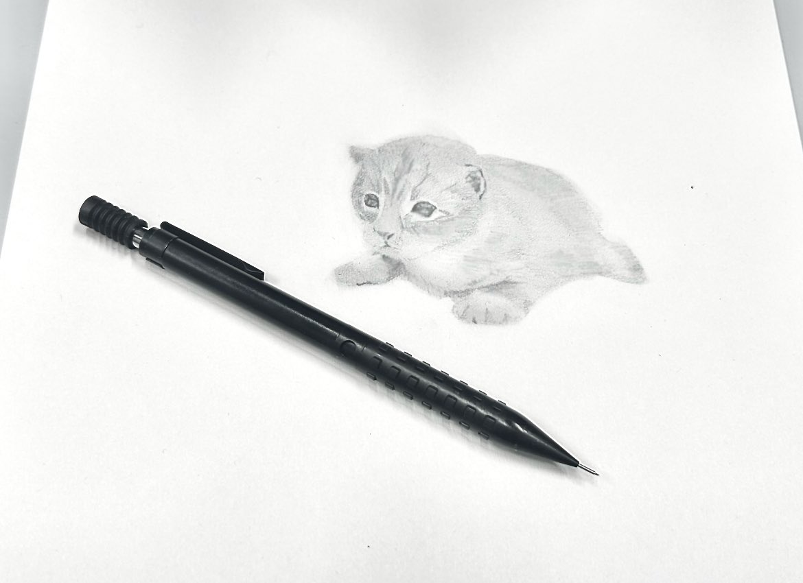 __aprt's tweet image. ゲイリーを描いたよ
ゲイリーはありがとうと言って