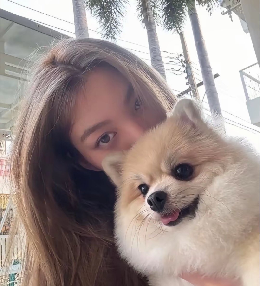 wanniebb's tweet image. golden retriever gf who loves matcha