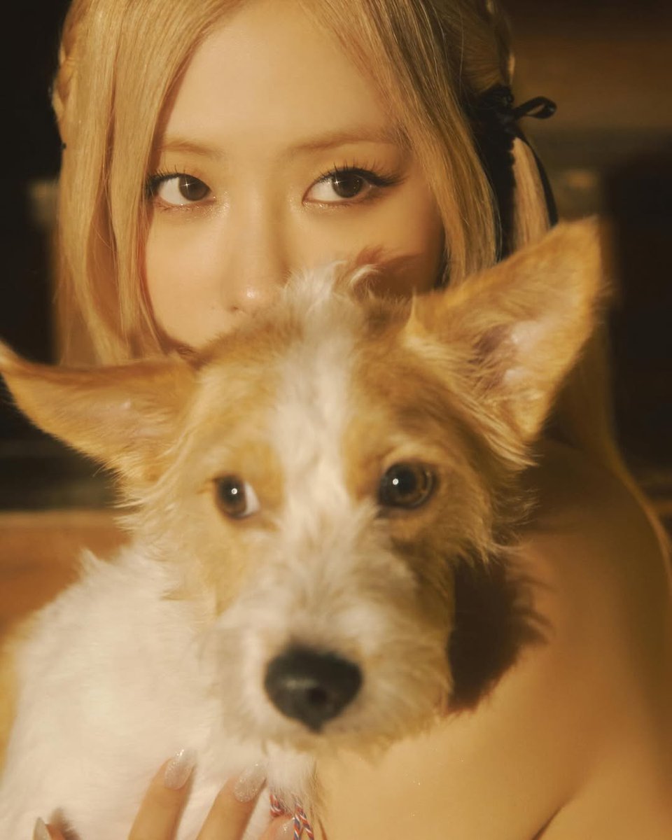 wanniebb's tweet image. golden retriever gf who loves matcha