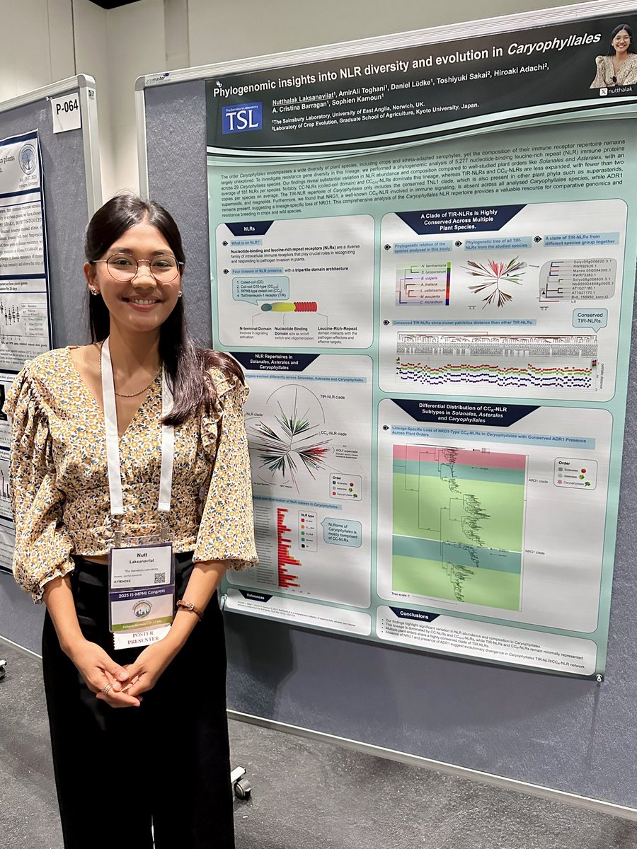 Nutthalak Laksanavilat (@nutthalak) on Twitter photo #2025ISMPMI Excited to share insights from my postdoc work at <a href="/TheSainsburyLab/">The Sainsbury Laboratory</a> on NLR diversity and evolution in Caryophyllales phylogenomics π₯ Join me at poster no.65 ππ€© #2025ISMPMI Excited to share insights from my postdoc work at <a href="/TheSainsburyLab/">The Sainsbury Laboratory</a> on NLR diversity and evolution in Caryophyllales phylogenomics π₯ Join me at poster no.65 ππ€©