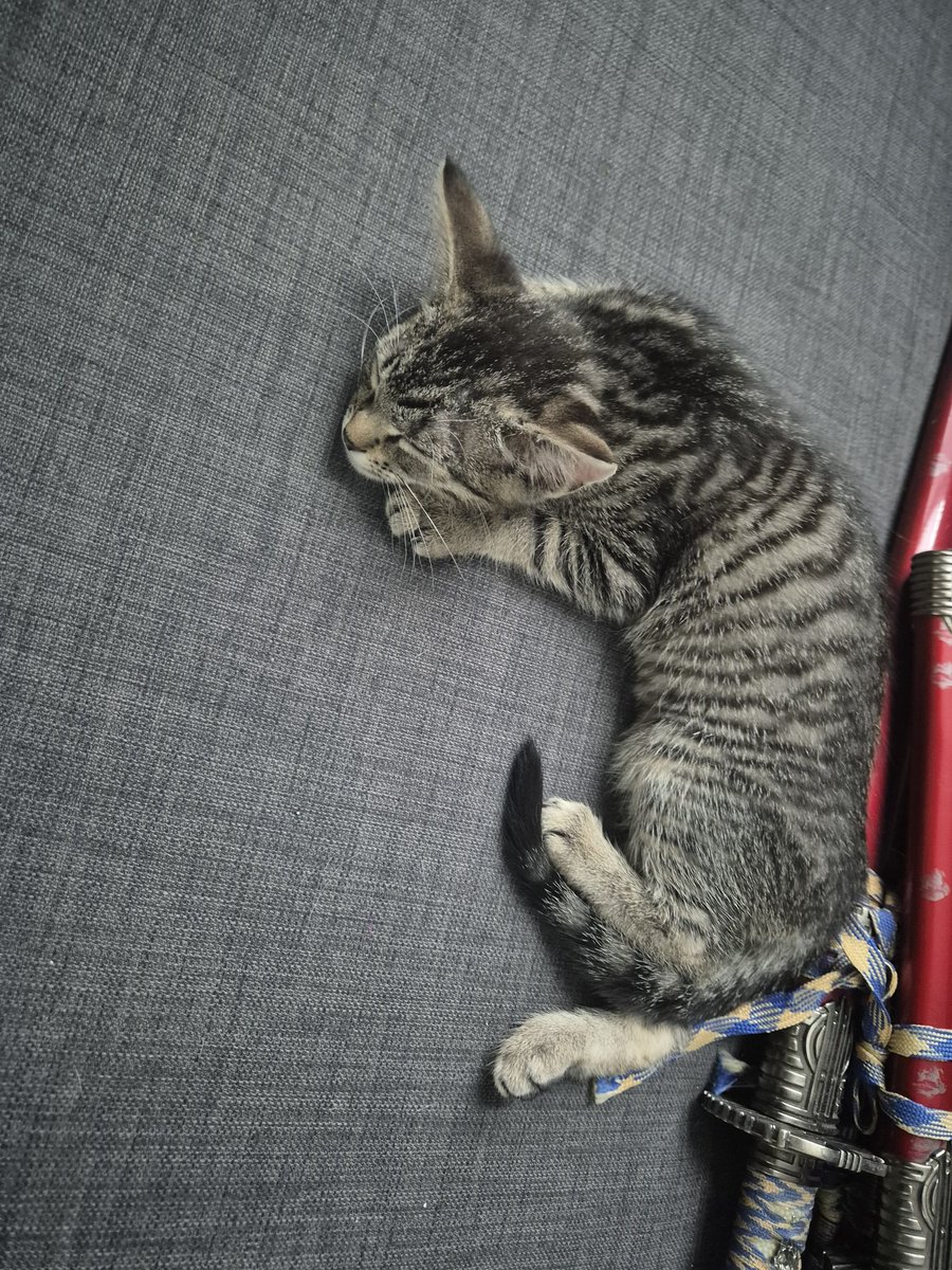 Little devils😍❤️