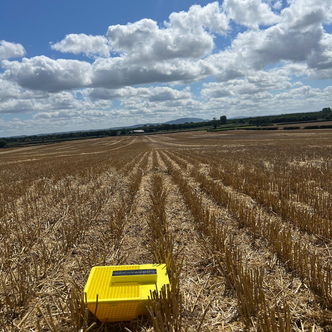 UnitedOilseeds's tweet photo. 🎯 United Oilseeds members get £50 OFF MagicTrap
🎯 Buy OSR seed from @Bayer4Crops too? Get £70 OFF!
📡 Real-time pest monitoring to reduce CSFB risk.

📲 https://t.co/kdbMmJVq8E

📩 Email paulb@unitedoilseeds.co.uk for your code.

#MagicTrap #OSR #AgriTech https://t.co/qbKrgQPAIT