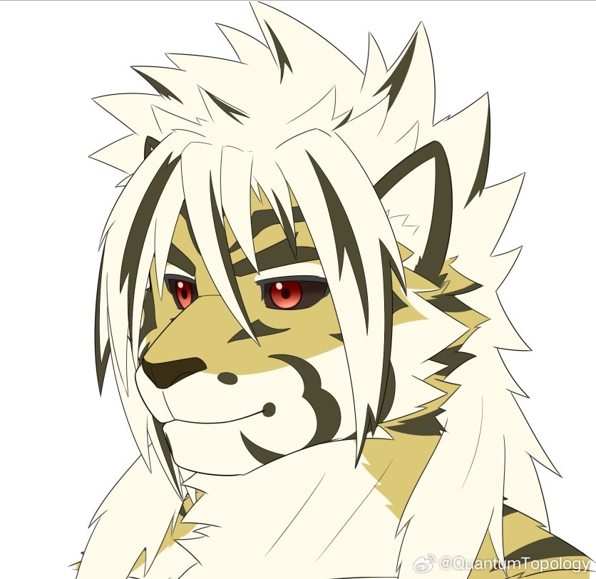 QuantumTopology tweet media