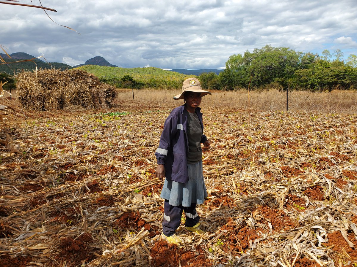 TSURO Trust tweet media
