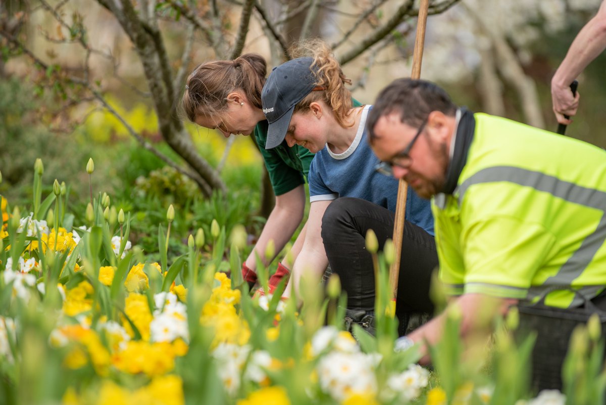 CollegesScot's tweet image. Congratulations to @fifecollege @Glasgow_Clyde and @GKCollege on being named finalists for this year's International @greengowns - these are great examples of the innovative sustainability initiatives happening in Scotland's colleges. bit.ly/4lSnep4 #choosecollege