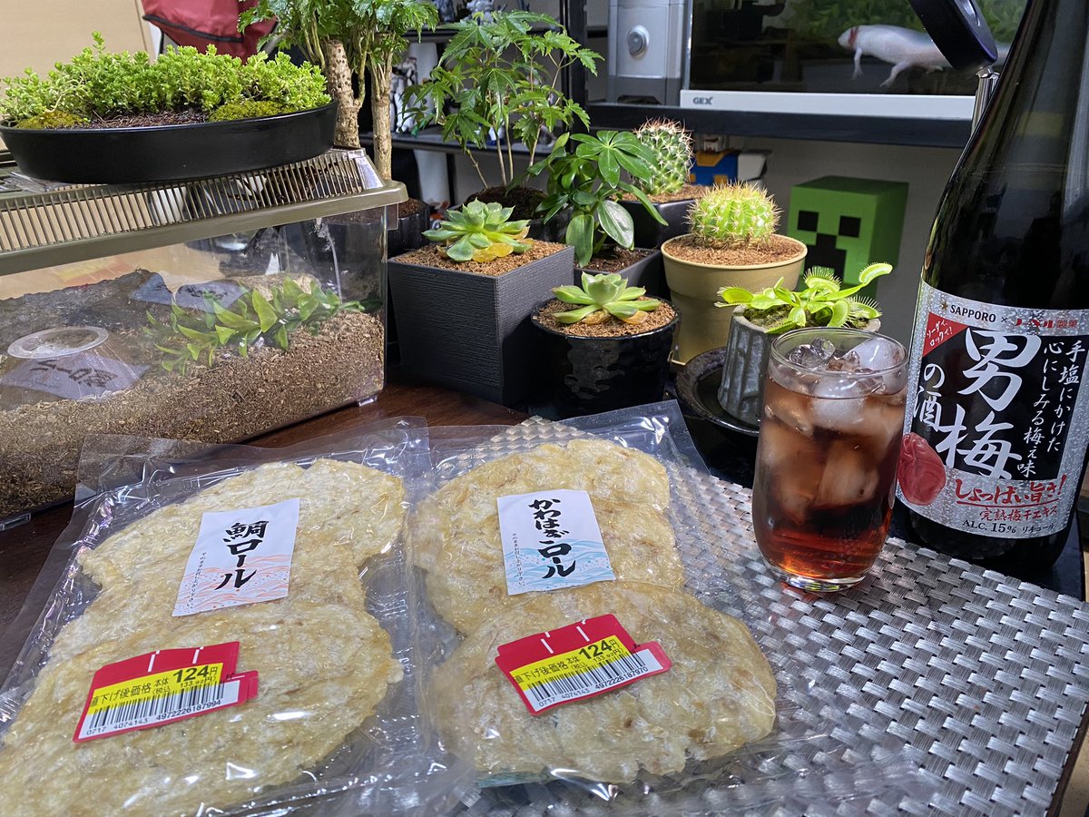 Satoshi36773130's tweet photo. 帰ってきました乾杯です☆彡 #IDKP
今日は高いオツマミコーナーのかわはぎロールと鯛ロールが持ってけドロボー価格で大放出されてた☆
私はコレをずっと待ってたんだよ♪爆っ https://t.co/kQydUUA8Qn