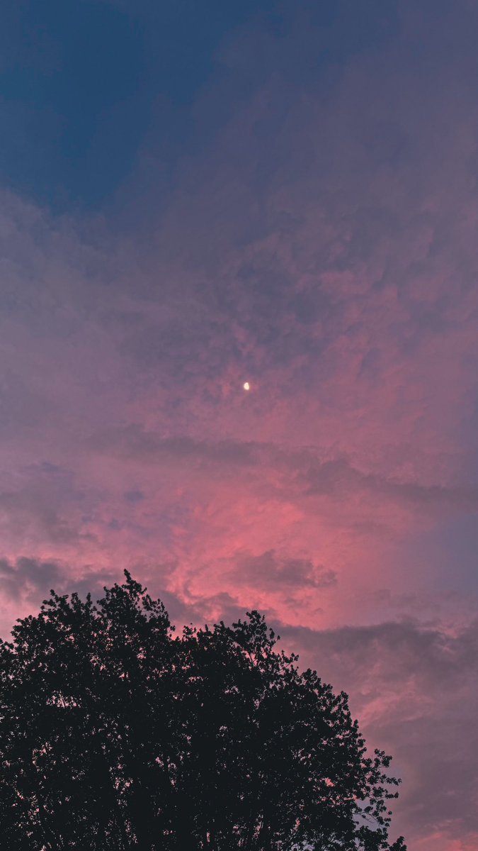 Ang_XoXo17's tweet image. Love my island 🧜‍♀️💫 a beautiful angel wing sunrise