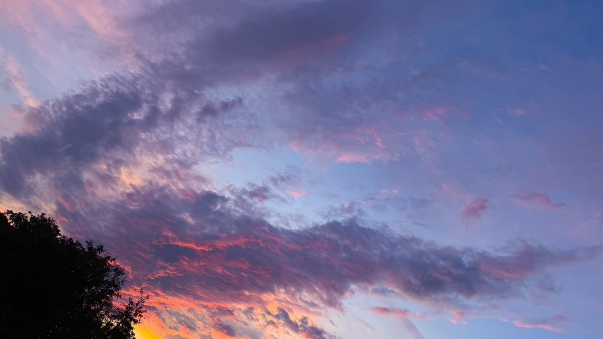 Ang_XoXo17's tweet image. Love my island 🧜‍♀️💫 a beautiful angel wing sunrise