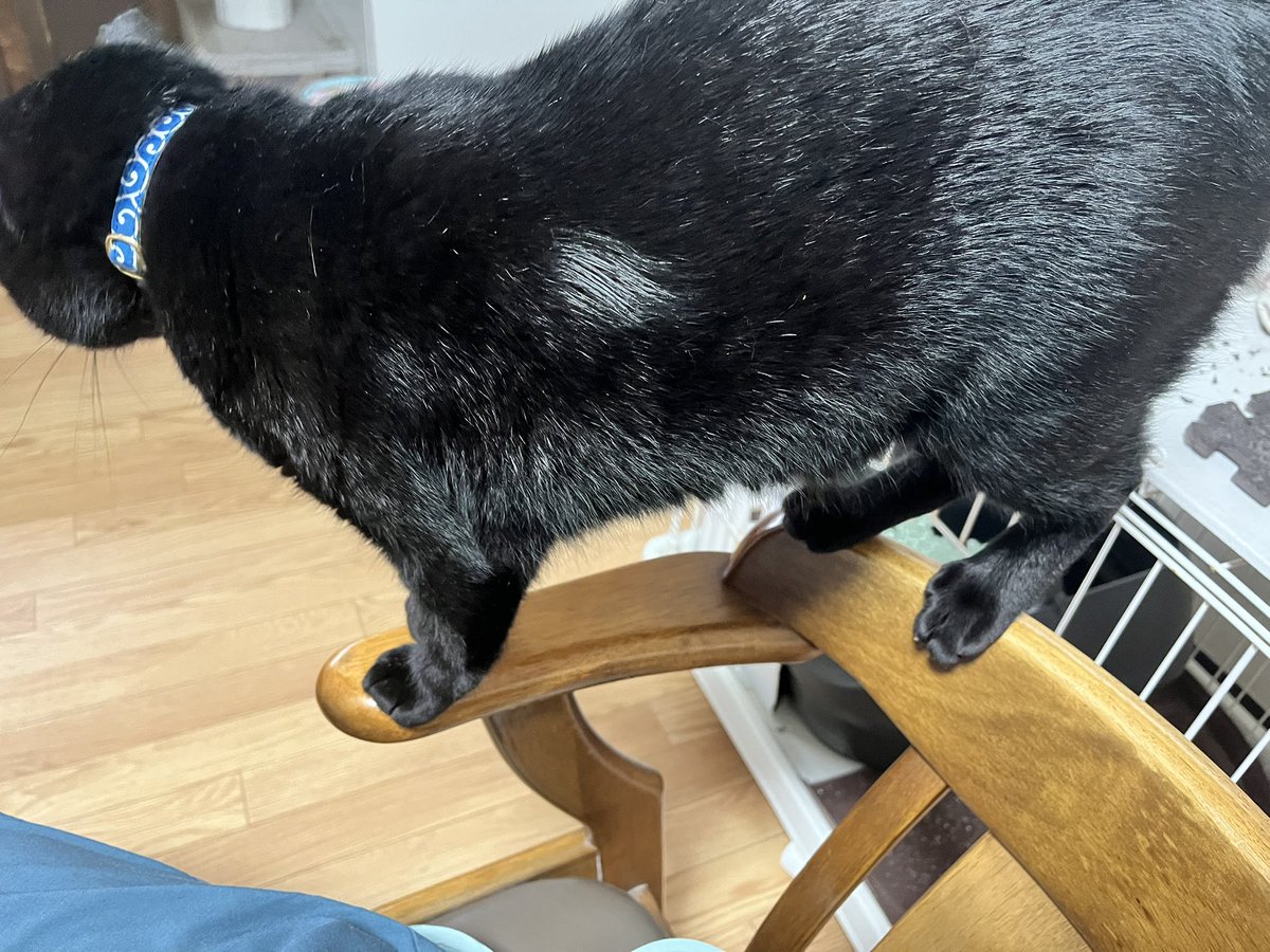 細い所にバランスよく乗ってるな〜