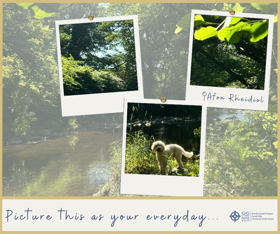 SwyddiHDdaJobs's tweet image. Picture this as your everyday... 🌳🐶🚶

We can help you make it happen 📲📞📧