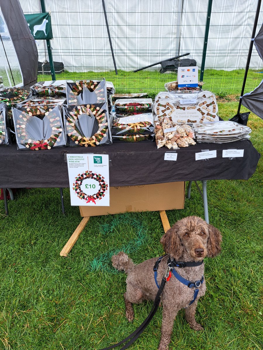 yorkshirejune's tweet image. This Sunday @HearingDogs ambassador Pasha will be accompanying me on the annual #Keepyourpet walk on York Knavesmire It all starts at 10am . Lots of great stalls where last year I bought some unusual doggy Xmas presents plus Pasha&apos;s favourite the dog agility course
@joncowap