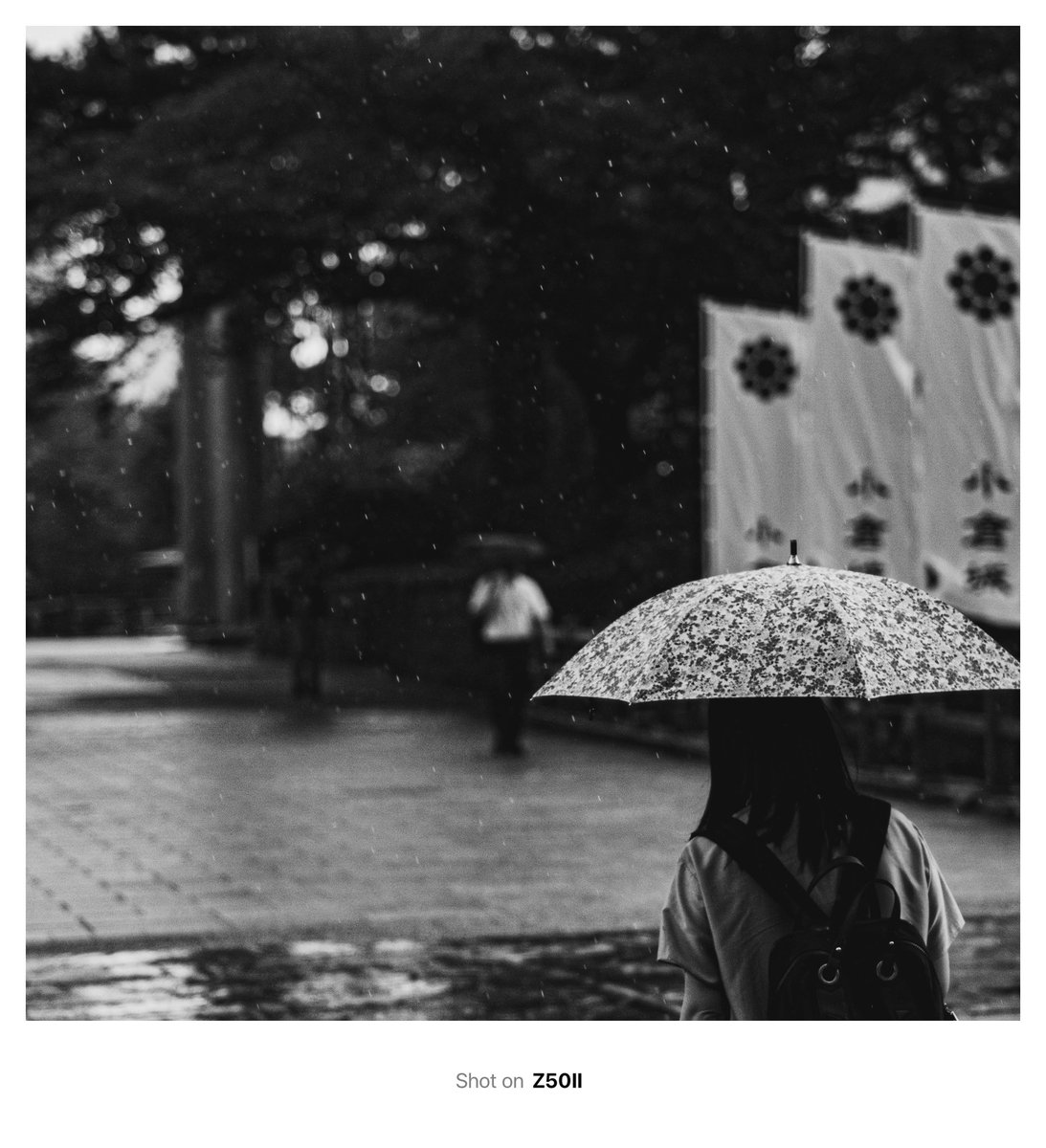 ahuropanda_VRC's tweet image. 雨粒
#Z50II #私とニコンで見た世界