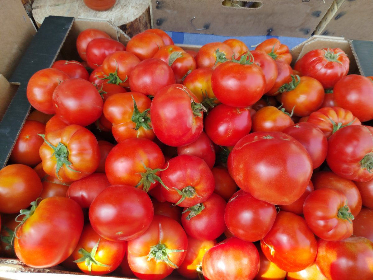 El tomate de temporada, con todo el sabor auténtico de este fruto de la huerta, está en todo su esplendor. Es el tema de la última entrada del blog
maderadebuixo.blogspot.com