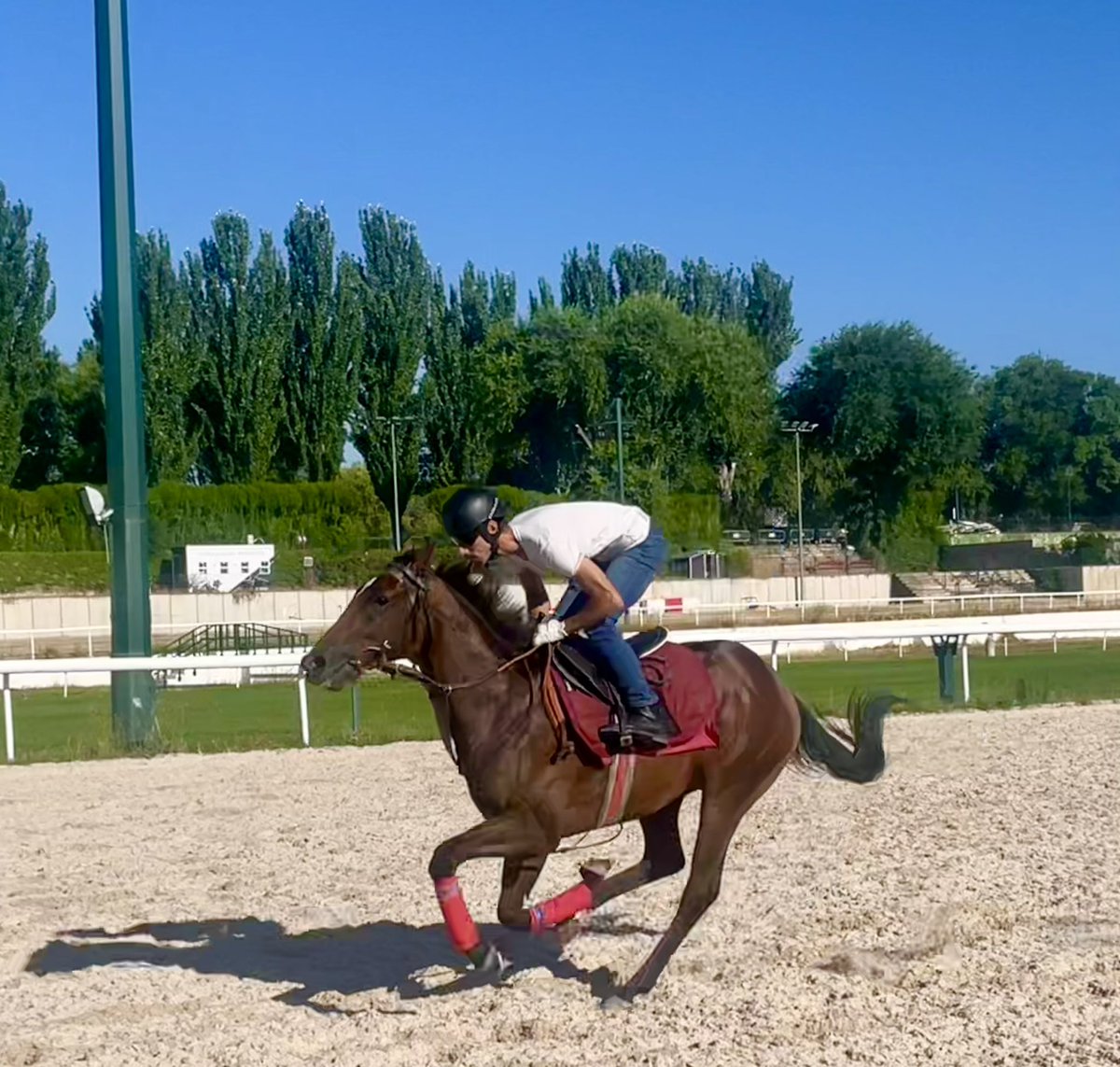 Arizkorreta Racing (@arizkorretar) on Twitter photo 🏇 Esta noche, a partir de la 21.40, tenemos cita en <a href="/HipodromoMadrid/">Hipódromo de La Zarzuela</a>…
101. CACHOPO (<a href="/JanacekVaclav/">Vaclav Janacek</a>)
201. MADERAS (Janacek)
502. IF NOT NOW (Janacek)
(📷 CACHOPO, con <a href="/NSaccu/">Nicholas Saccu</a>)
#CuadradeArizkorreta 🏇 Esta noche, a partir de la 21.40, tenemos cita en <a href="/HipodromoMadrid/">Hipódromo de La Zarzuela</a>…
101. CACHOPO (<a href="/JanacekVaclav/">Vaclav Janacek</a>)
201. MADERAS (Janacek)
502. IF NOT NOW (Janacek)
(📷 CACHOPO, con <a href="/NSaccu/">Nicholas Saccu</a>)
#CuadradeArizkorreta