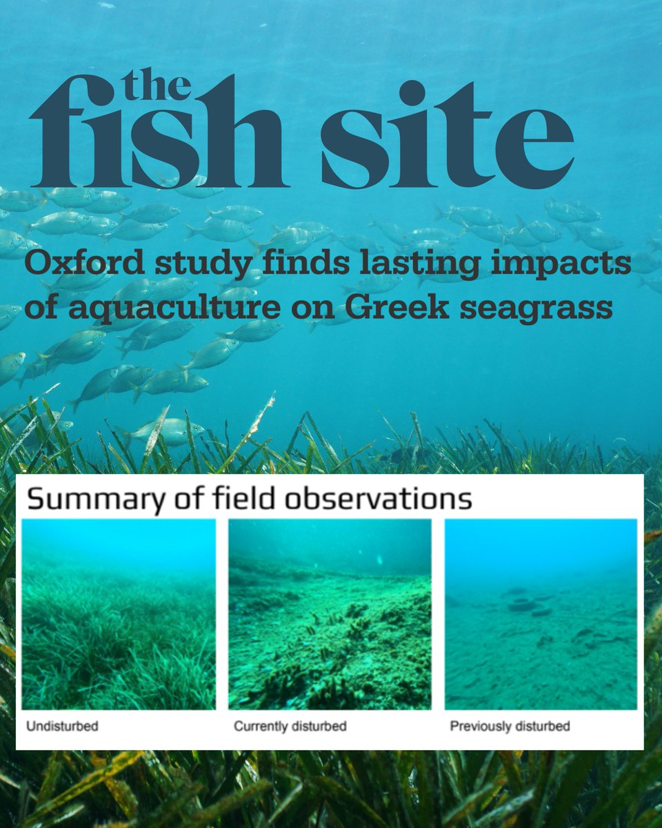 Great to land coverage in @TheFishSite for our client Rauch Foundation on Oxford research showing fish farms off Poros, Greece, cause severe damage to #Posidonia seagrass. With expansion looming, science-based #aquaculture is more urgent than ever. thefishsite.com/articles/oxfor…
