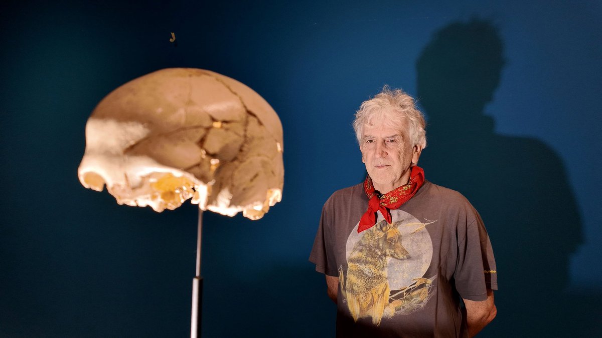 Juan Luis Arsuaga (@juanluisarsuaga) on Twitter photo Hoy inauguramos exposición Sueños rotos en el <a href="/museoevolucion/">MuseoEvoluciónHumana</a> sobre Benjamina con tres cráneos de preadolescentes hallados en la Sima de los Huesos y nunca expuestos. Hablamos de infancia y solidaridad en la tribu de la Sima #Atapuerca2025 #15añosMEH.
👉
youtu.be/Mnw5Dib9QDM?si… Hoy inauguramos exposición Sueños rotos en el <a href="/museoevolucion/">MuseoEvoluciónHumana</a> sobre Benjamina con tres cráneos de preadolescentes hallados en la Sima de los Huesos y nunca expuestos. Hablamos de infancia y solidaridad en la tribu de la Sima #Atapuerca2025 #15añosMEH.
👉
youtu.be/Mnw5Dib9QDM?si…