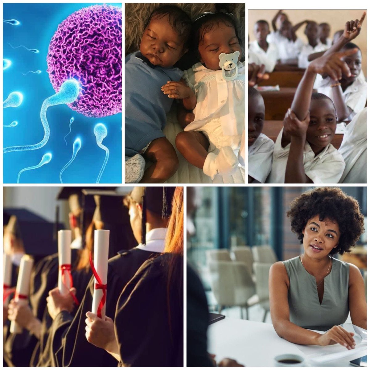 Avant même de naître, nous sommes dans une sorte de concurrence. Sur 400 ovules qu'a une femme au début de ses premières règles, un seul mûrit par mois, en attendant un spermatozoïde. Ce dernier aussi, il est en compétition avec plus de 3 millions qui veulent tous féconder