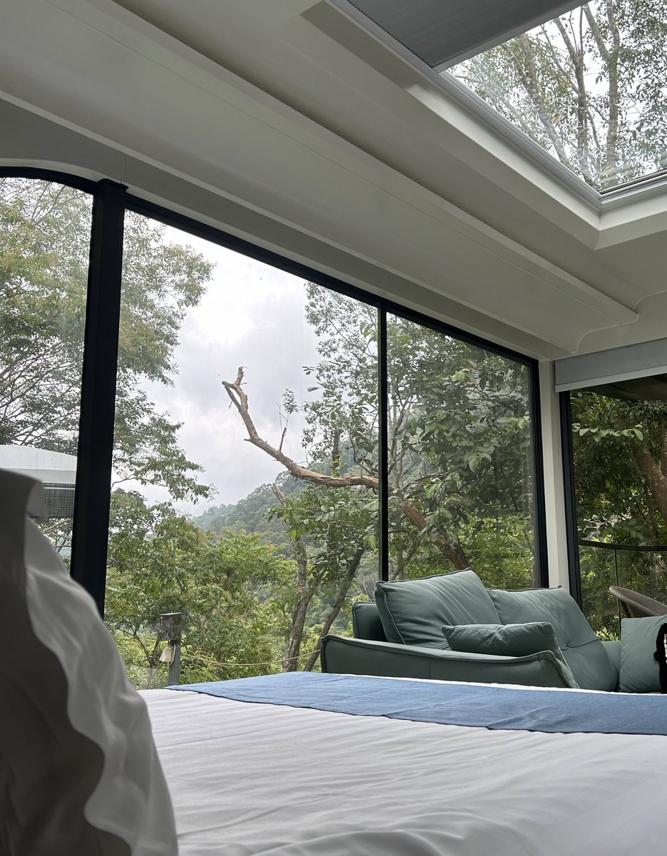 David&Elva tweet media