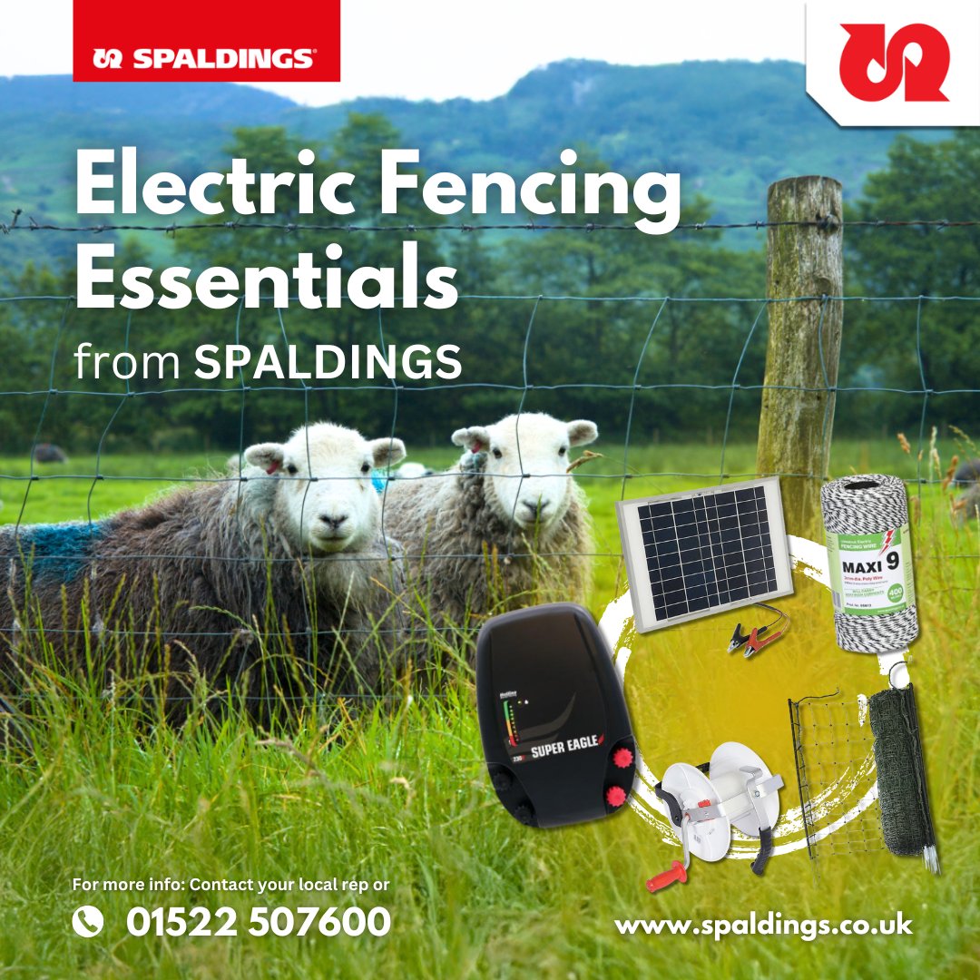 Spaldings's tweet image. 🔋 Just Shockingly Good Fencing! 🐑🐄
Protect livestock with Spaldings’ trusted #electricfencing: energisers, netting, posts &amp;amp; more.
📞 01522 507600 | 🌐 spaldings.co.uk | Contact your local representative today