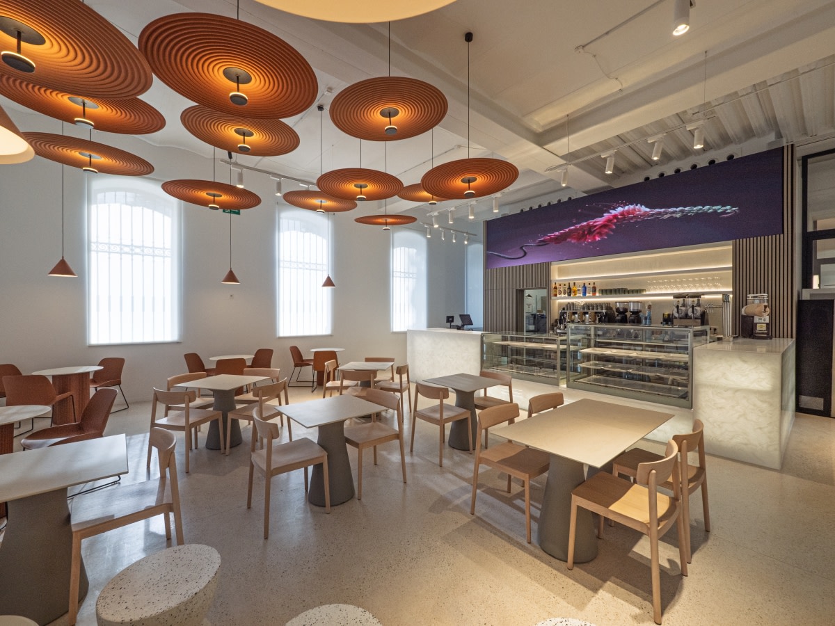 EmuriInnova's tweet image. 👉 Pastelerías Luis Miguel, perteneciente a @nuevacocinamed, sigue ampliando su presencia en la #Región apostando por la #innovación como vía de expansión.
🤝 La firma ha abierto recientemente un nueva cafetería en la Cárcel Vieja de Murcia.
🔗ow.ly/i5St50WoZ52