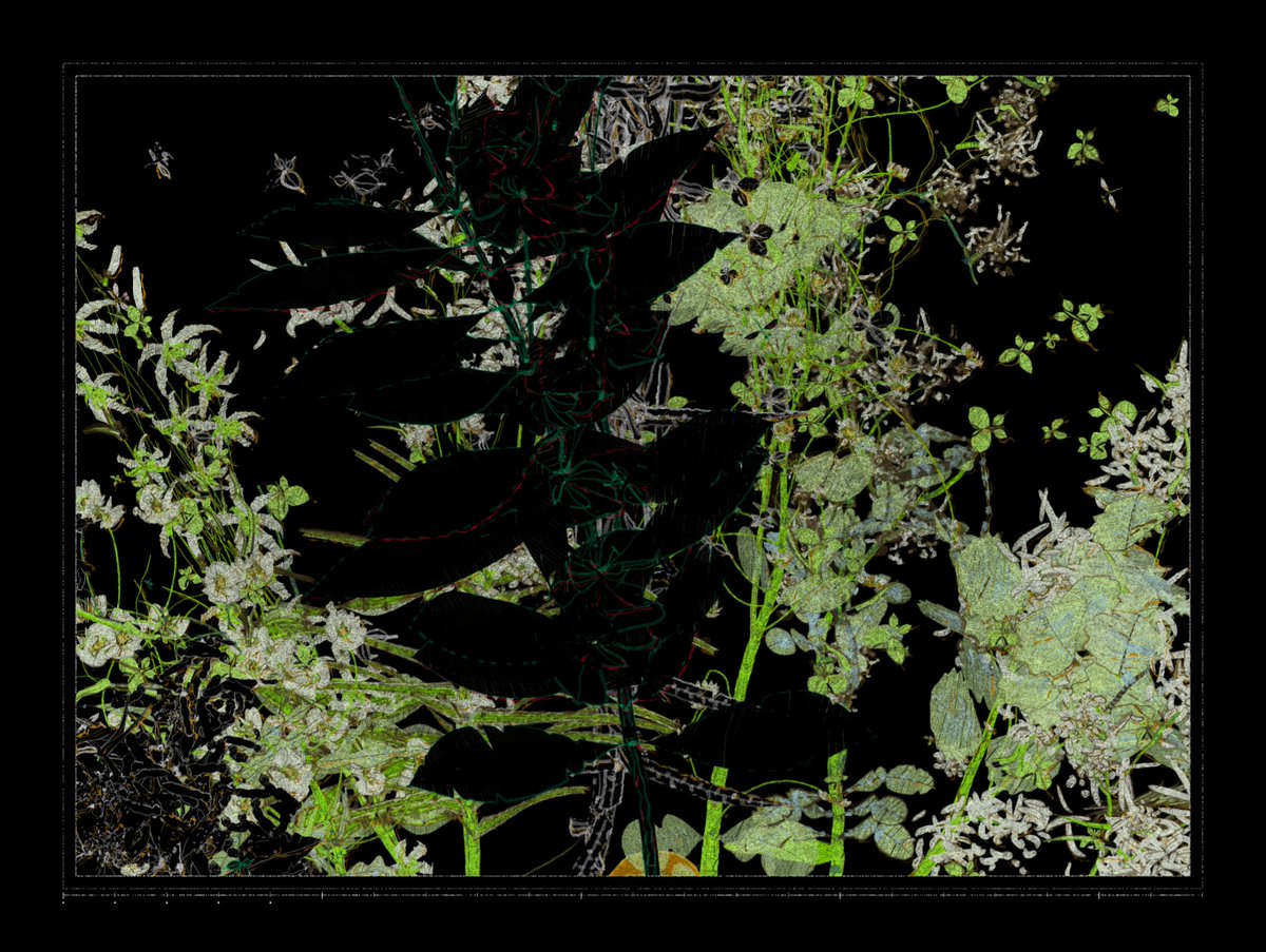 robscalera's tweet image. Everything about Polypaths | 植徑集 by @IOivm is perfect. From the technical execution to the visual language, it's stunning 🫠
Even the loading bar feels like part of the piece, subtly tucked into the border 🤯
Here are a few of my fav seeds so far