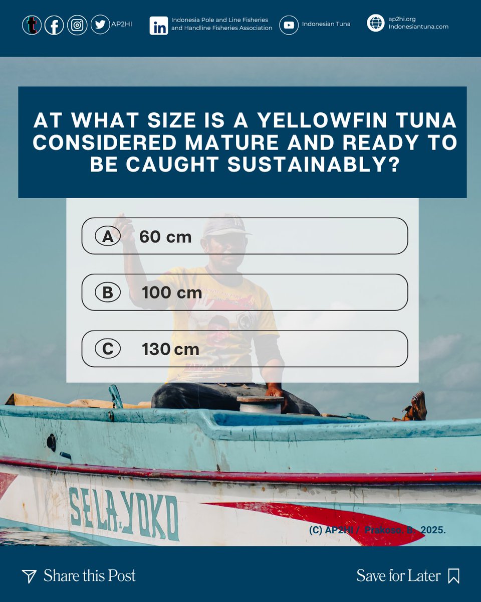 🎣 Big tuna = big catch? Maybe. But what’s the sustainable size?

Yellowfin tuna have a maturity threshold 
Is it 60 cm? 100 cm? 130 cm?

💭 What’s your guess?

Fishing sustainably starts with knowing when not to fish 🌊🐟
#TunaQuiz #SustainableFishing #OceanTalk #GuessTheSize