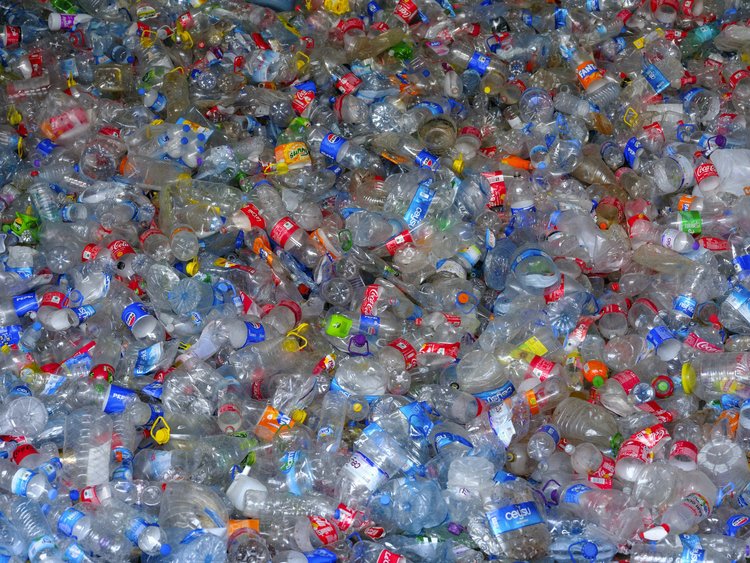 Removing the use of single-use plastic is at the top of the waste hierarchy - however, if you cannot eliminate it completely, Cawleys can help you recycle the plastic you do use
For more information and to book in your waste site audit 👉 cawleys.co.uk
#plasticfreejuly