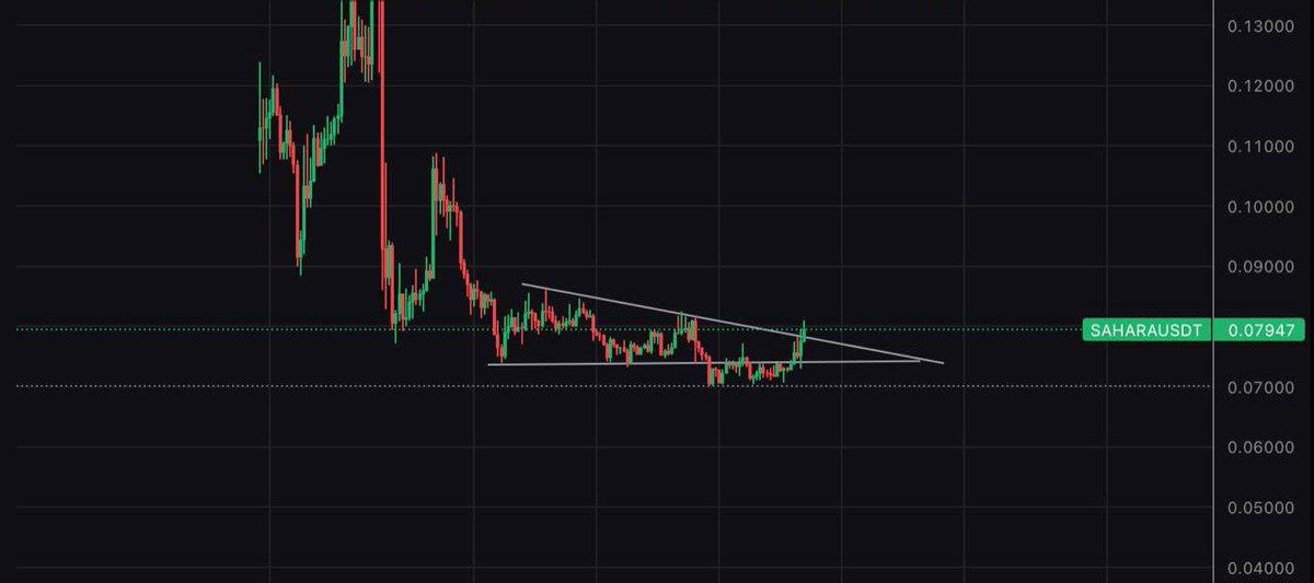Hashtech_block's tweet photo. @DrProfitCrypto $sahara @saharaai x200 https://t.co/mVGigZRZqn