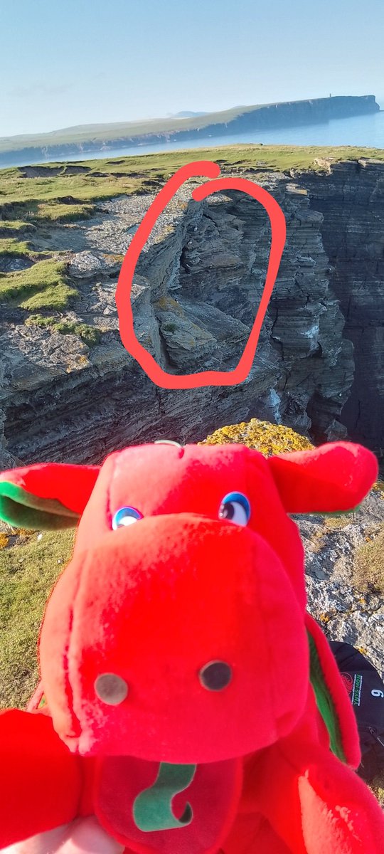 Freebie Mon has seen Puffins today!!!!!!  He thought his wings were tiny, at least the Puffins can fly though. Freebie had a large breakfast this morning and so couldn't get off the ground to go and met them.