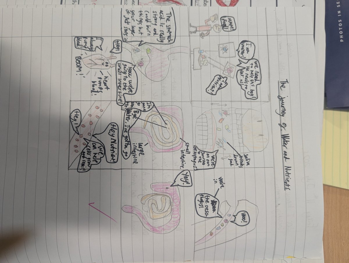 Year 6 have been learning about how water and nutrients are transported within the body and created these comic strips detailing their journey!