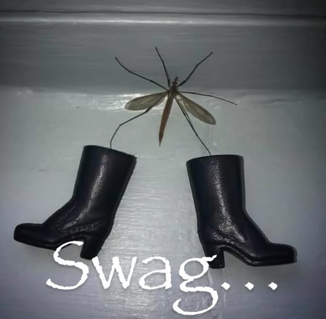 hourly_shitpost's tweet image. 