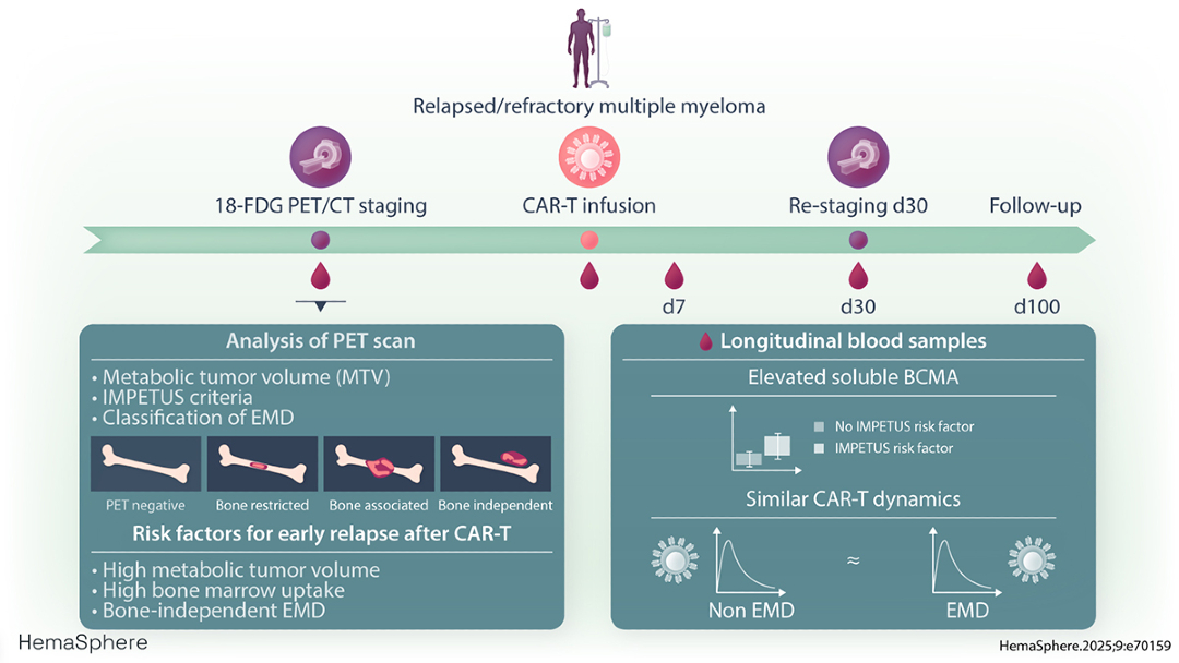 Hemasphere_EHA's tweet image. PET/CT is crucial for staging #MM and detecting extramedullary disease, however its role in CAR T cell therapy patients remains unclear.
Read this article further in our recent issue 👉bit.ly/3TnSbVQ