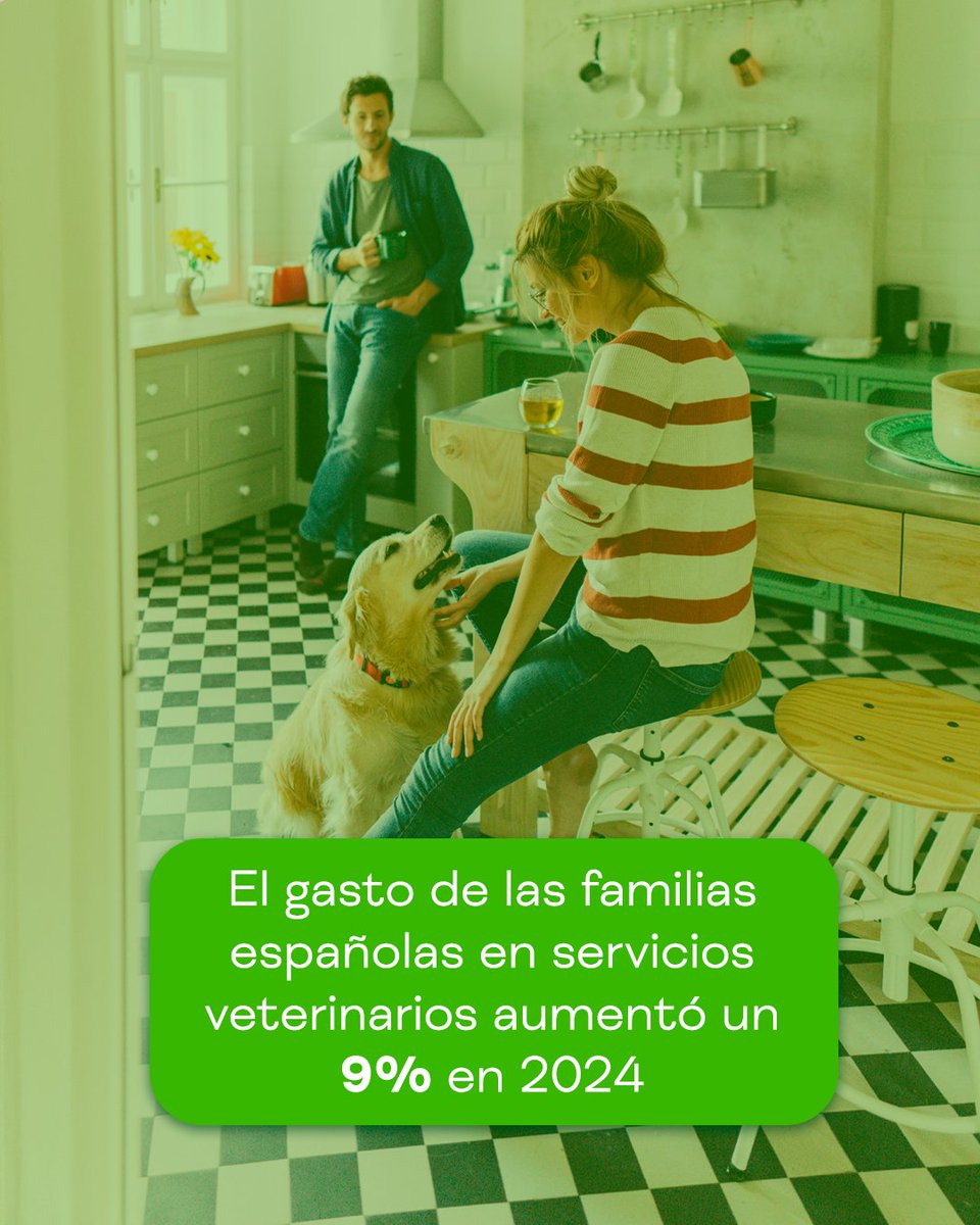 Iberzoo+Propet (@iberzoopropet) on Twitter photo El gasto medio anual en cuidados, alimentación y servicios para animales de compañía supera los 1.000 euros por hogar con mascota en 2024, según un estudio realizado por <a href="/es_INE/">INE España</a>, publicado en <a href="/animalshealthes/">Animal's Health</a>.
¡Esto refleja una oportunidad clave para el sector!
#IberzooPropet El gasto medio anual en cuidados, alimentación y servicios para animales de compañía supera los 1.000 euros por hogar con mascota en 2024, según un estudio realizado por <a href="/es_INE/">INE España</a>, publicado en <a href="/animalshealthes/">Animal's Health</a>.
¡Esto refleja una oportunidad clave para el sector!
#IberzooPropet