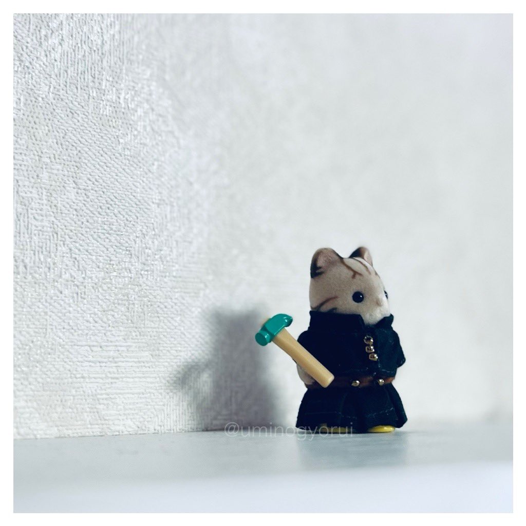 uminogyorui's tweet image. これは何だか良い雰囲気に撮れたやつ🔨🌹