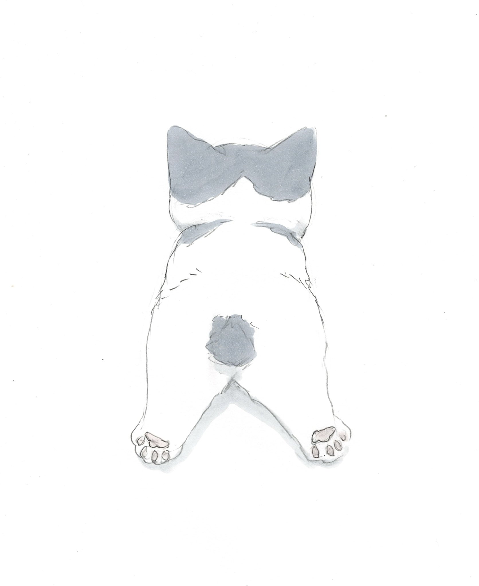 拾い猫のモチャ　警備員さんと猫　にごたろ 警備員さんと猫 尾道市立美術館の猫 : にごたろ | HMV&BOOKS