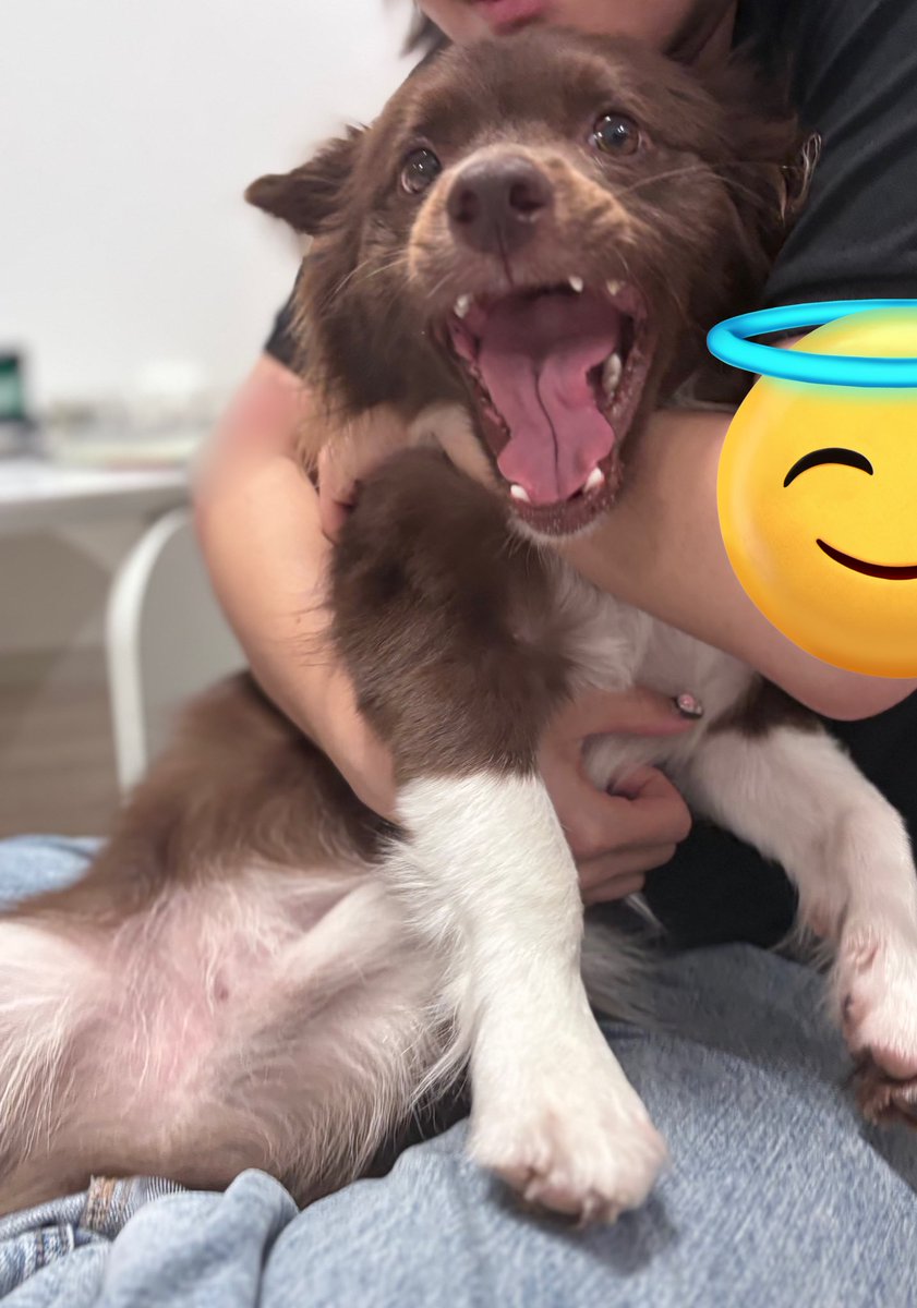 bamtingoo's tweet image. 놓아져어어어어어어어아아아아앙아나아아아아아아아아앙