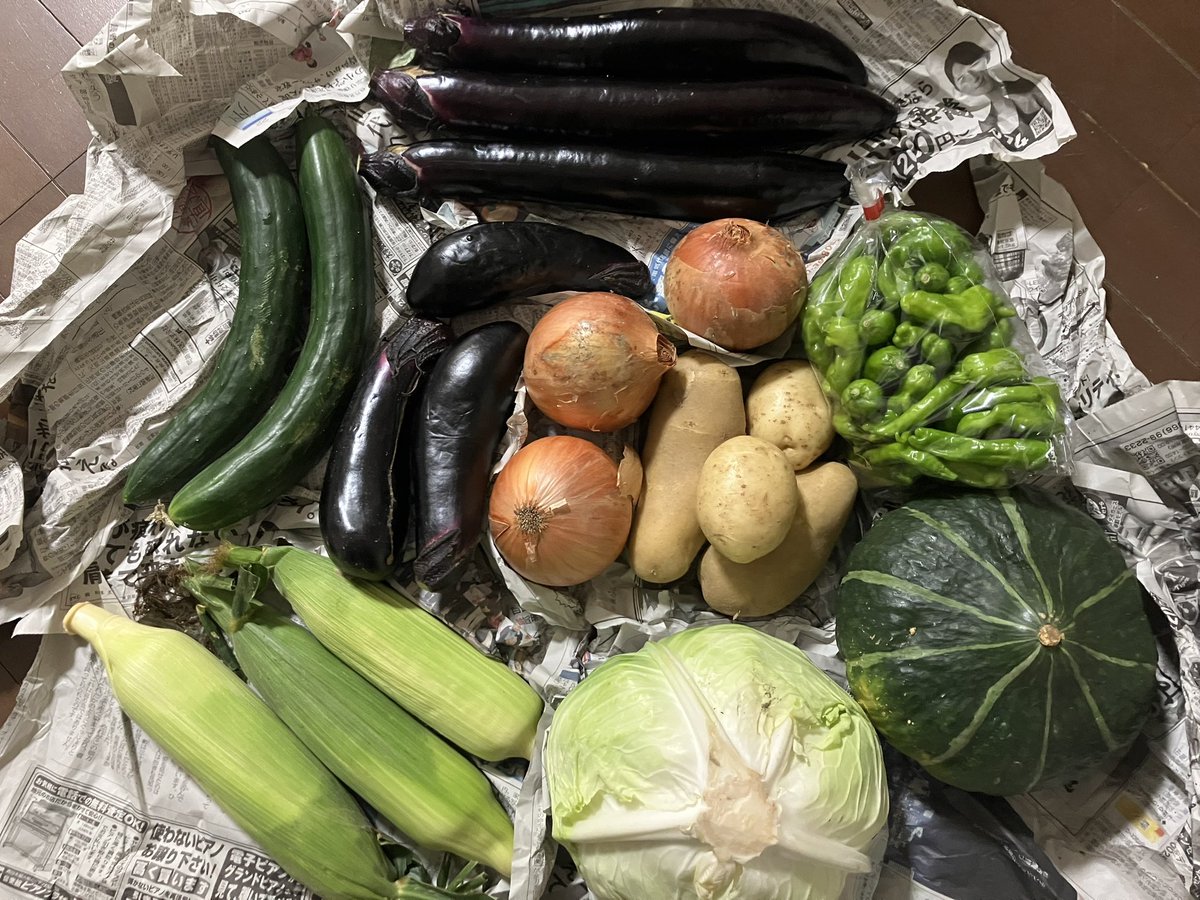 igusuke's tweet image. 岡山からたくさん野菜がきました✨😆
丁寧に梱包された愛がギューギューに詰まった1箱。この歳になってもまだまだ親が元気でいてくれるって、本当に幸せです。父は秋のシャインマスカット収穫に向けて、間引き終わった190房に袋がけしたみたいです。凄すぎます😳