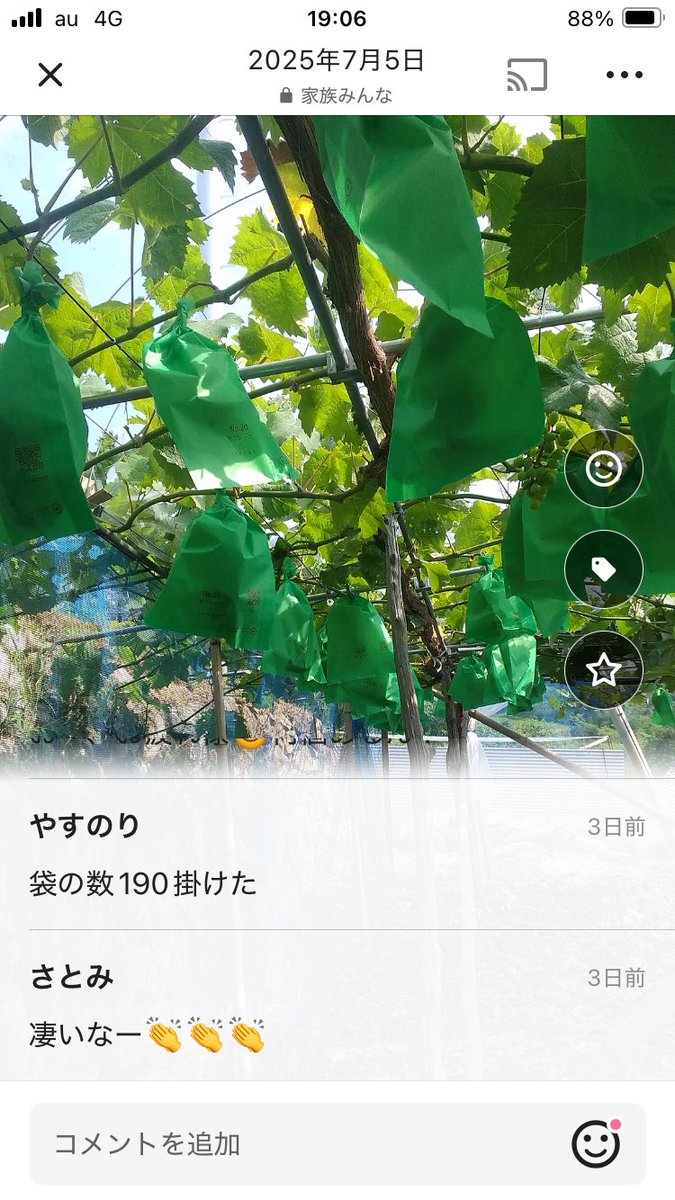 igusuke's tweet image. 岡山からたくさん野菜がきました✨😆
丁寧に梱包された愛がギューギューに詰まった1箱。この歳になってもまだまだ親が元気でいてくれるって、本当に幸せです。父は秋のシャインマスカット収穫に向けて、間引き終わった190房に袋がけしたみたいです。凄すぎます😳