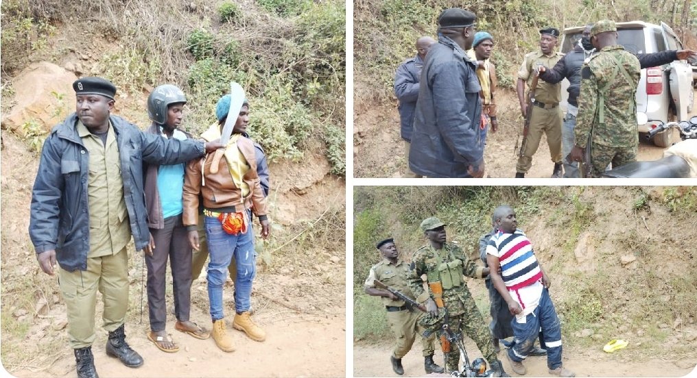 Rise News Uganda Network (@risenewsuganda) on Twitter photo Investigations are underway, following the arrest of alleged supporters of Rwampara East MP Julius Tusiime <a href="/JuliusTusiimeK/">Hon. Julius Tusiime Karuhanga</a> Karuhanga found with a vehicle loaded with pangas and sticks in Kigaaga cell Mwizi sub county.
#NRMPrimaries #RiseNewsUganda2026PoliticalTorch Investigations are underway, following the arrest of alleged supporters of Rwampara East MP Julius Tusiime <a href="/JuliusTusiimeK/">Hon. Julius Tusiime Karuhanga</a> Karuhanga found with a vehicle loaded with pangas and sticks in Kigaaga cell Mwizi sub county.
#NRMPrimaries #RiseNewsUganda2026PoliticalTorch