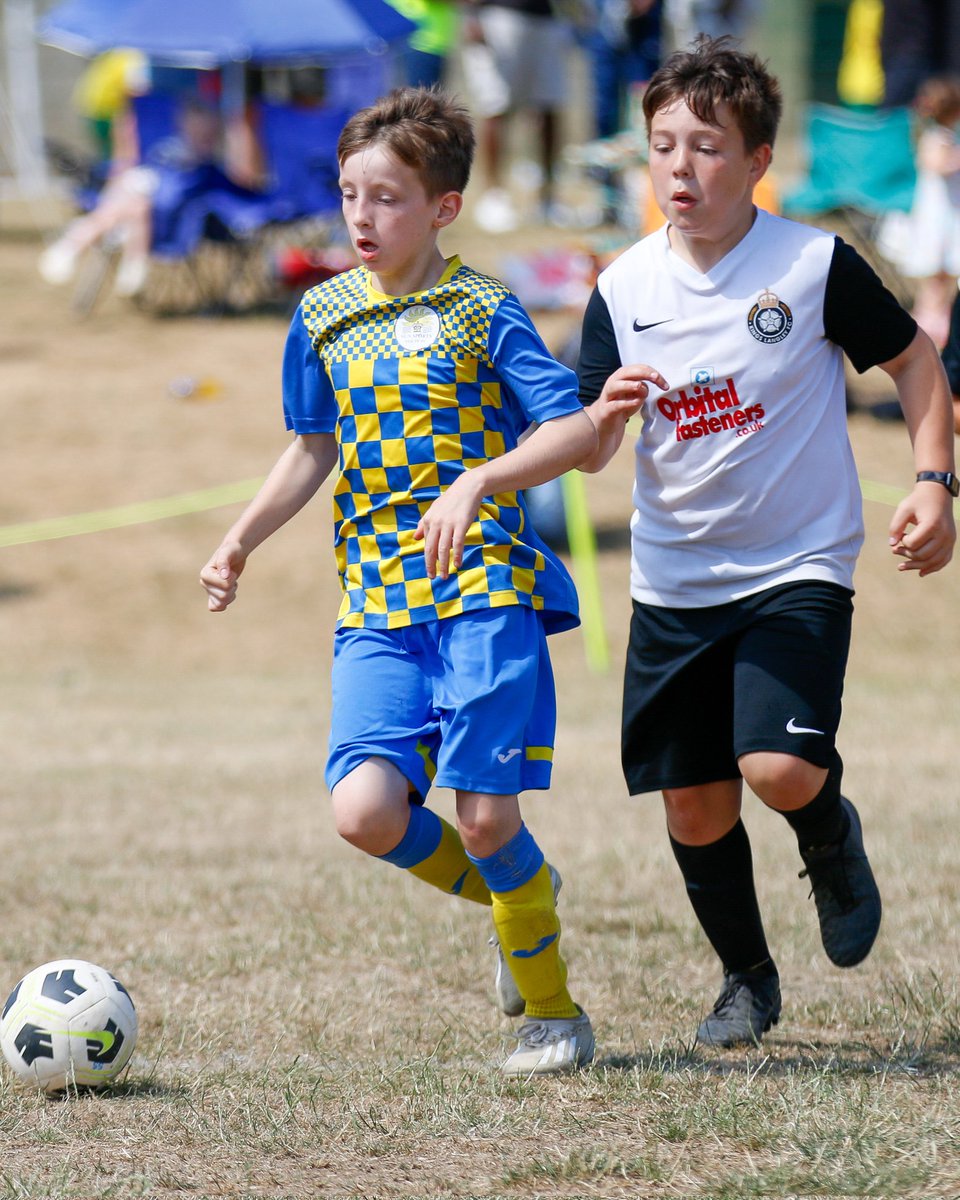 Media Plus tweet media