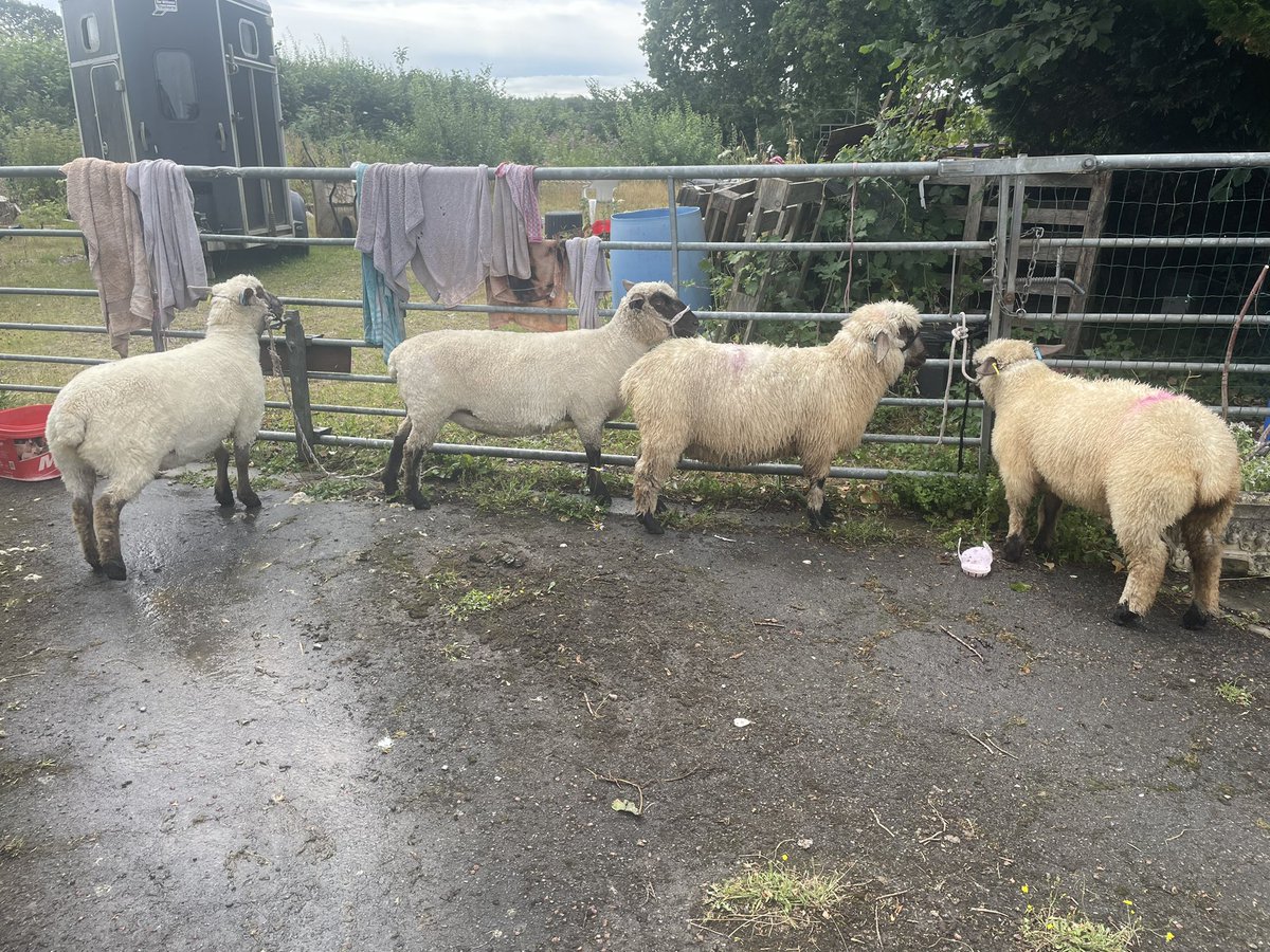 Garlic Meadow tweet media